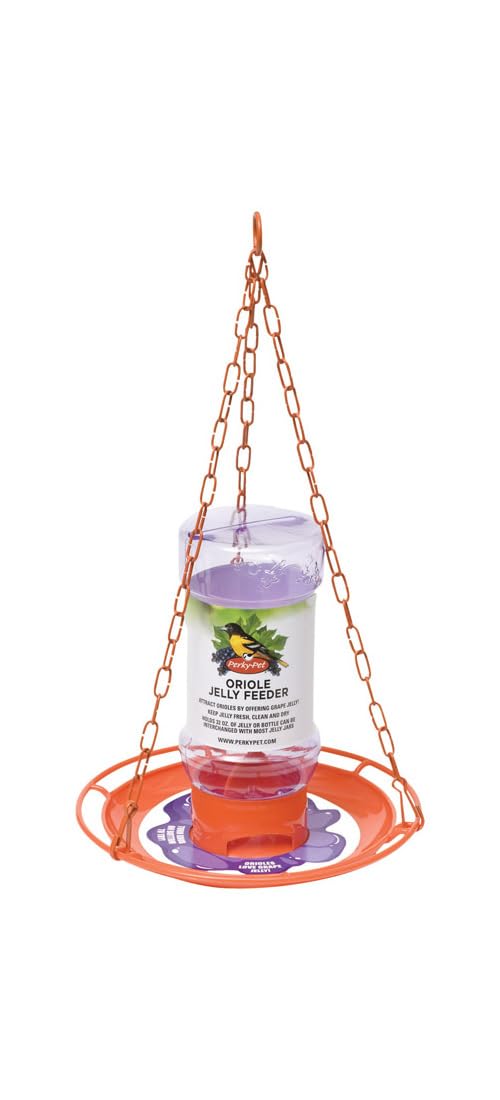 Hanging hook view on Perky-Pet Jelly Feeder Oriole for outdoor use
