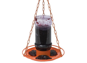 Close-up of Perky-Pet Jelly Feeder Oriole during jelly refill