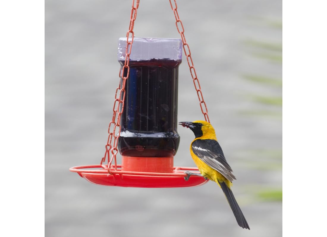 Reservoir detail of Perky-Pet Jelly Feeder Oriole showing simple access