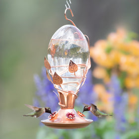 Tempered glass container design of Perky-Pet Looking Glass Hummingbird Feeder for durability