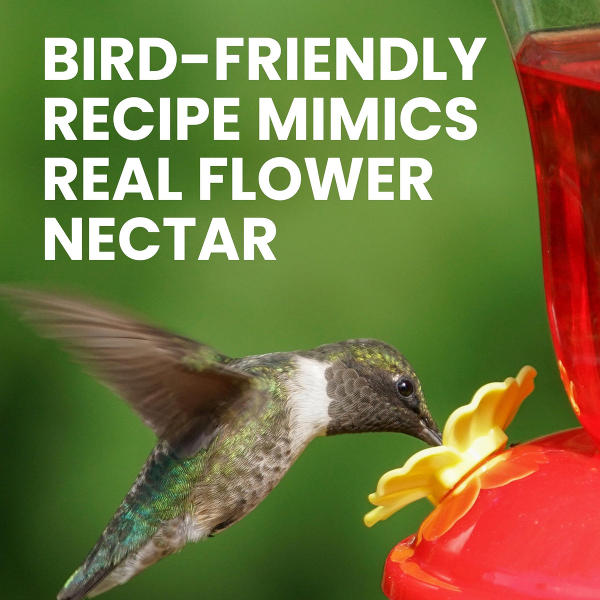 Perky-Pet concentrate being poured; easy nectar mix