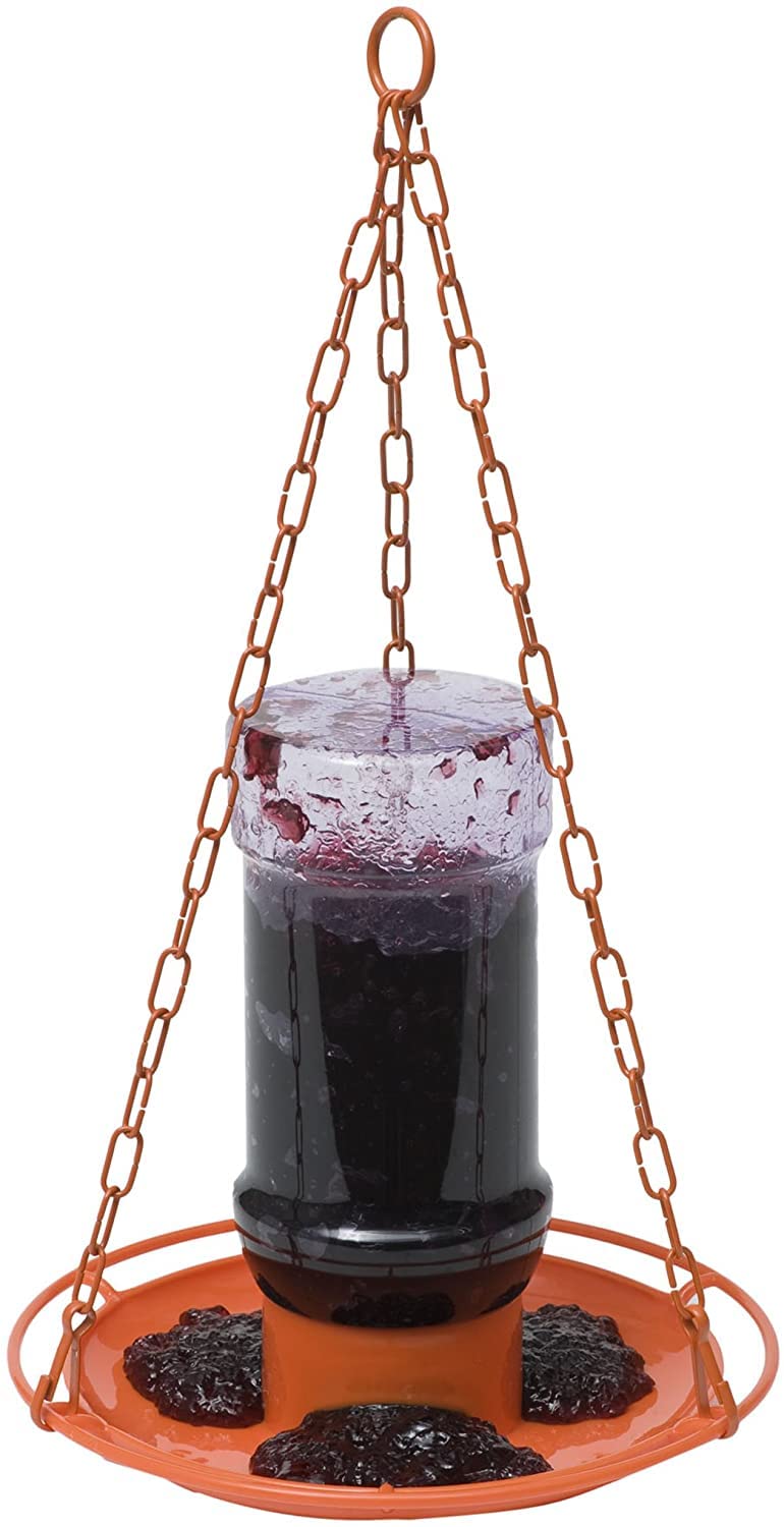 Perky-Pet Oriole feeder 32 oz 1 port top view attracts orioles with jelly