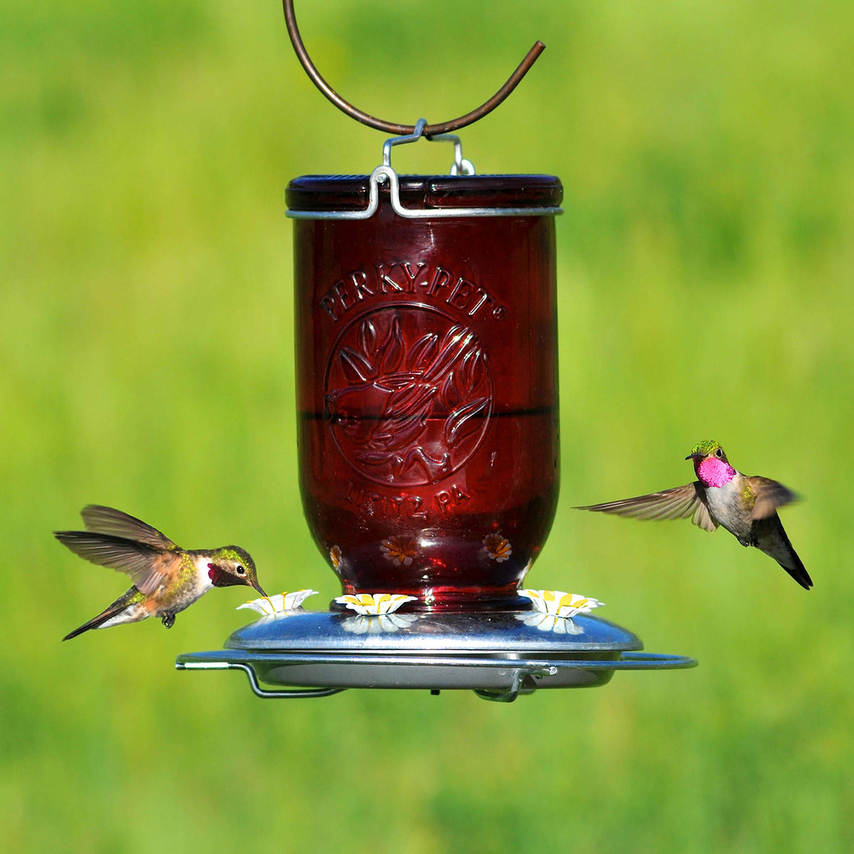 Perky-Pet red glass feeder with embossed bird details for rustic charm
