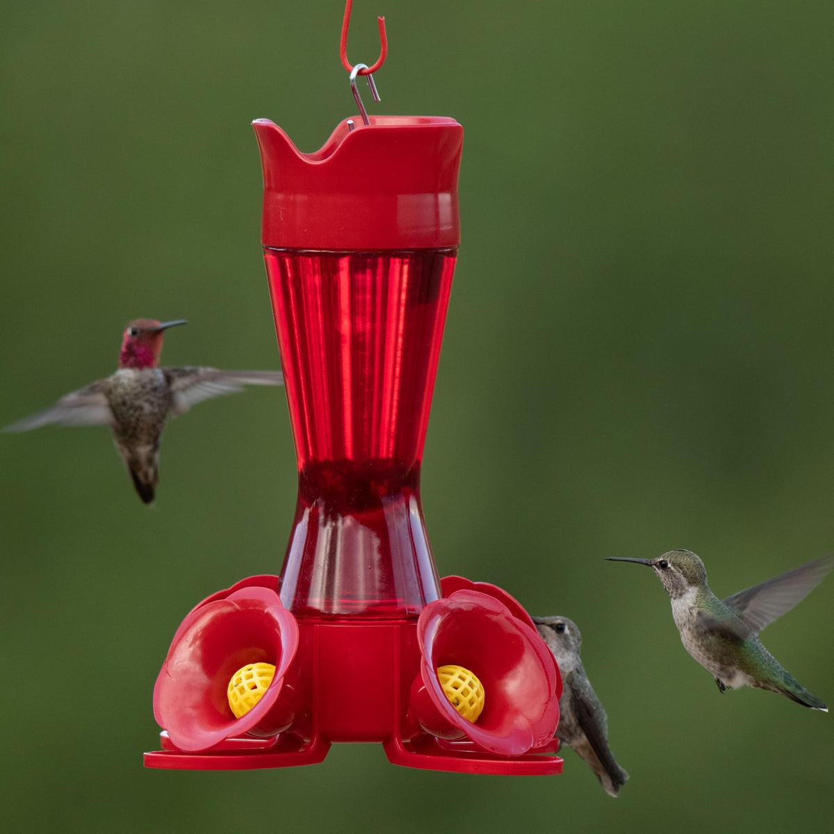 8 oz capacity ideal for small yards and light feeding