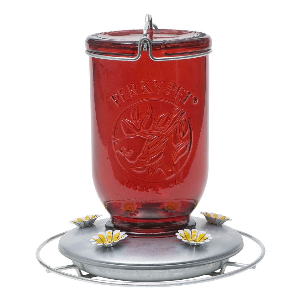 Perky-Pet red mason jar hummingbird feeder showing 32 oz capacity for extended use