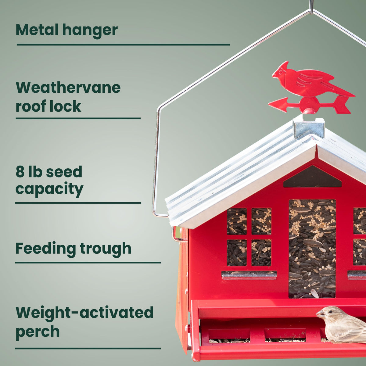 Removable roof enables easy filling and cleaning outdoors