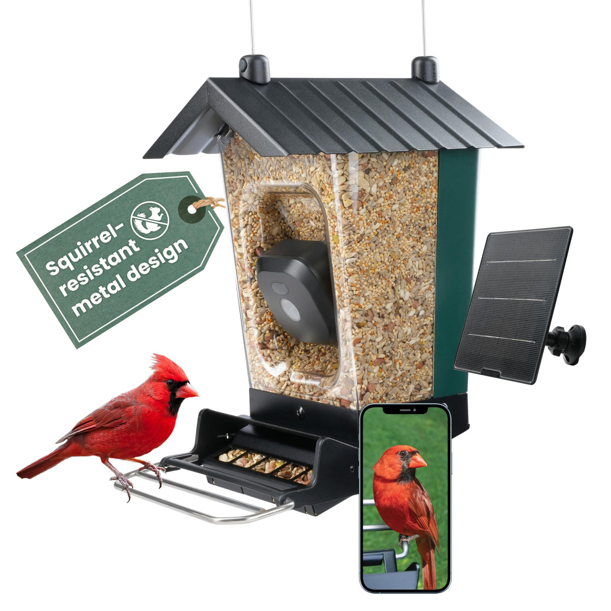 Perky-Pet solar feeder camera front view for real-time backyard bird watching