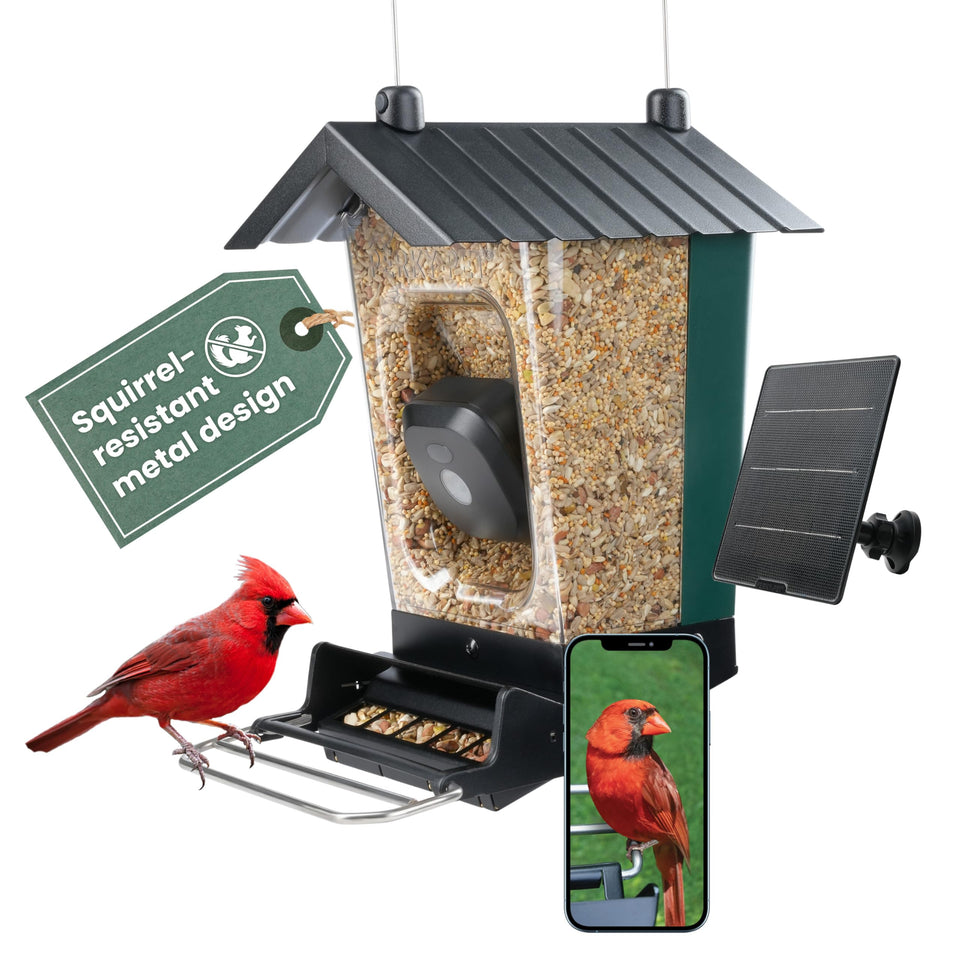 Perky-Pet solar feeder camera front view for real-time backyard bird watching