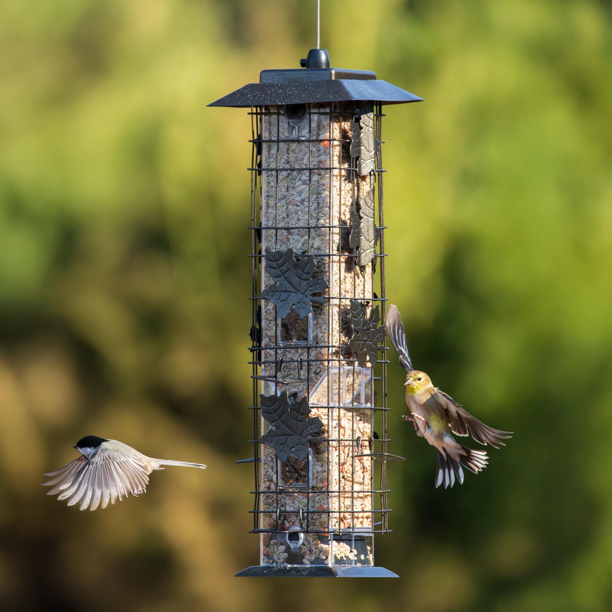 Perky-Pet Squirrel-Be-Gone reservoir view helps plan refills quickly.