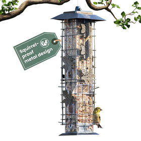 Perky-Pet Squirrel-Be-Gone feeder close-up highlights weight-activated perches for deterrence.