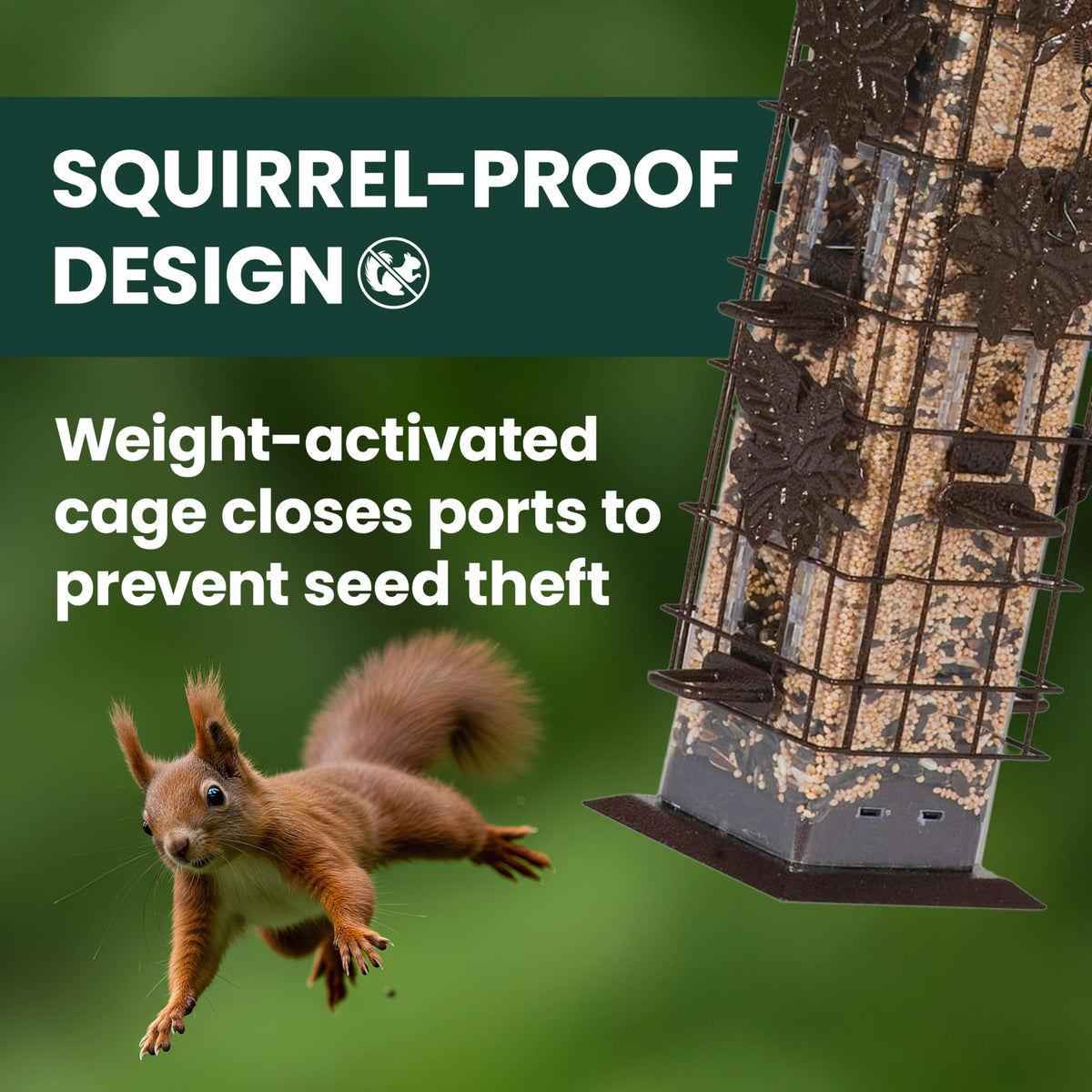 Perky-Pet Squirrel-Be-Gone feeder hanging in a garden attracts songbirds.