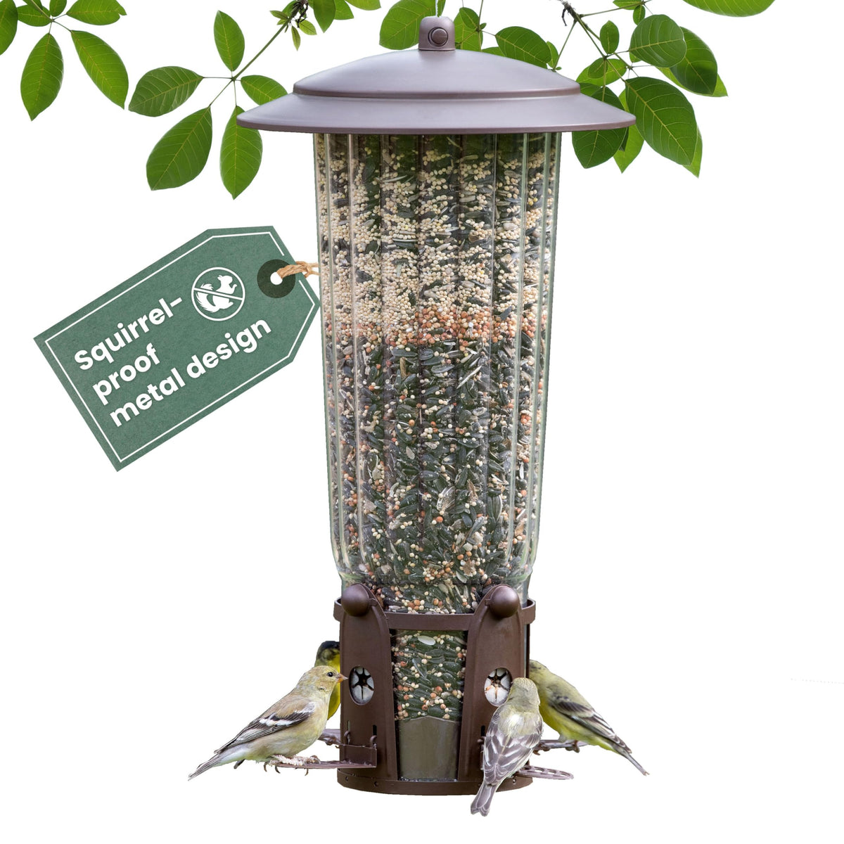 Perky-Pet Squirrel-Be-Gone Max feeder front view for clear bird watching