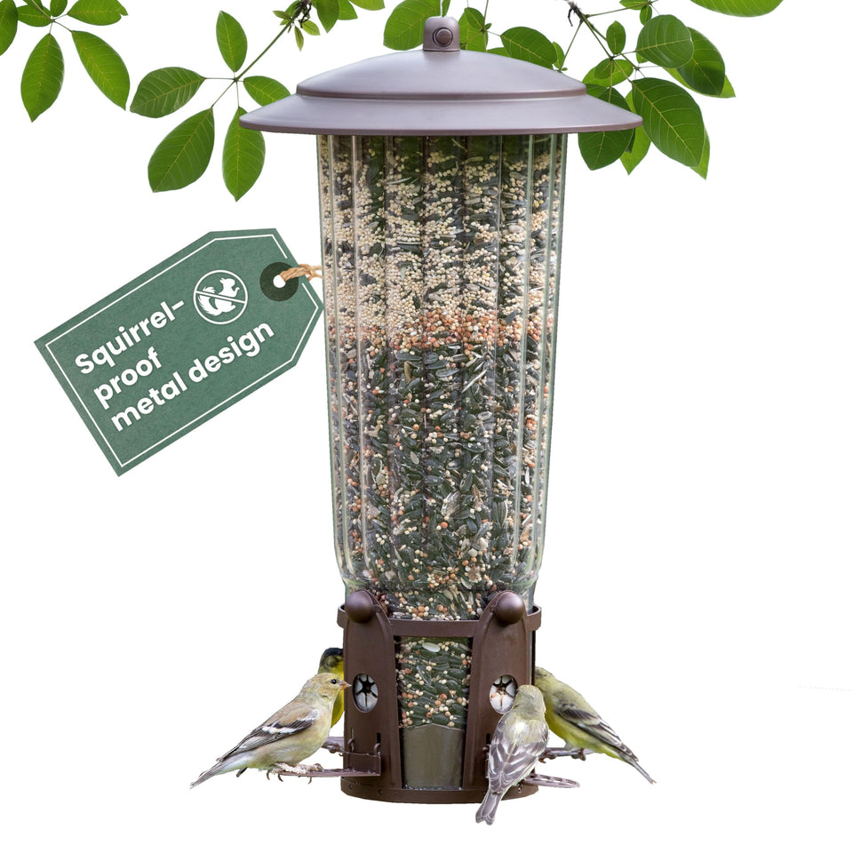 Perky-Pet Squirrel-Be-Gone Max feeder front view for clear bird watching