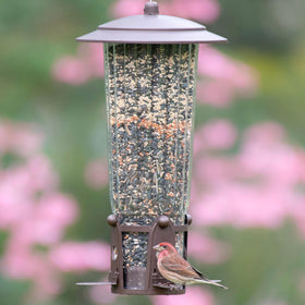Perky-Pet Squirrel-Be-Gone Max hanging system for outdoor setups