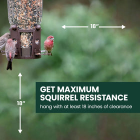 Perky-Pet Squirrel-Be-Gone Max 4 lb seed capacity for longer feeding