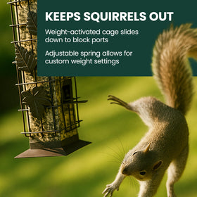 Perky-Pet Squirrel-Be-Gone clear reservoir lets you monitor seed levels at a glance.