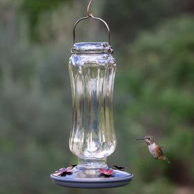 Starglow feeder showing four daisy ports for multiple hummingbirds.
