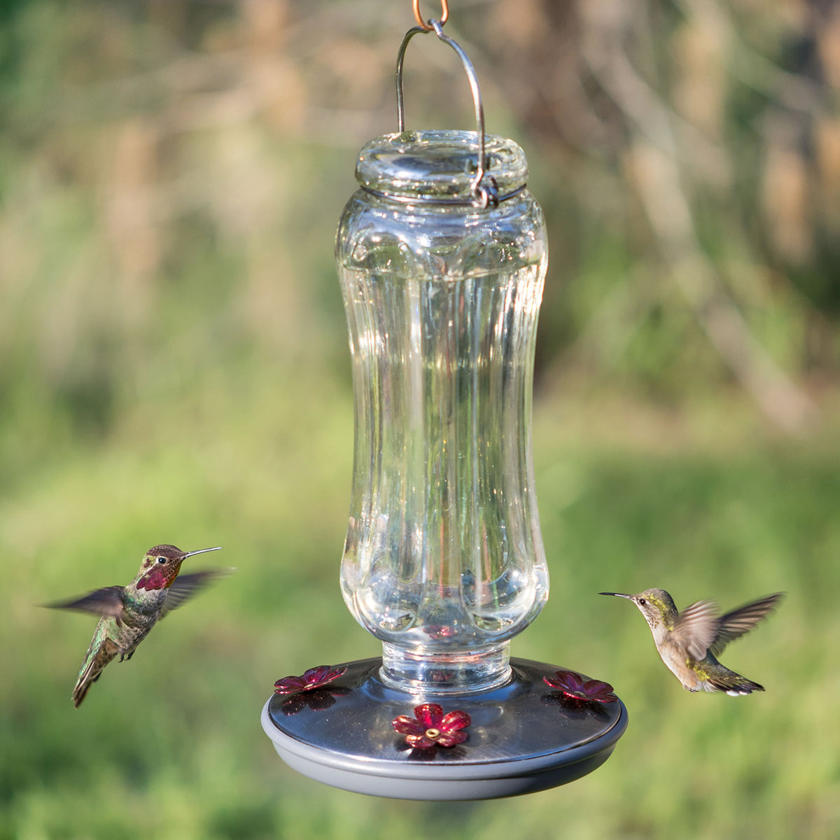 Removable bottom base of Starglow feeder enables easy cleaning and refilling.