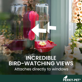 Two flower-shaped ports with U-shaped perches attract multiple hummingbirds.