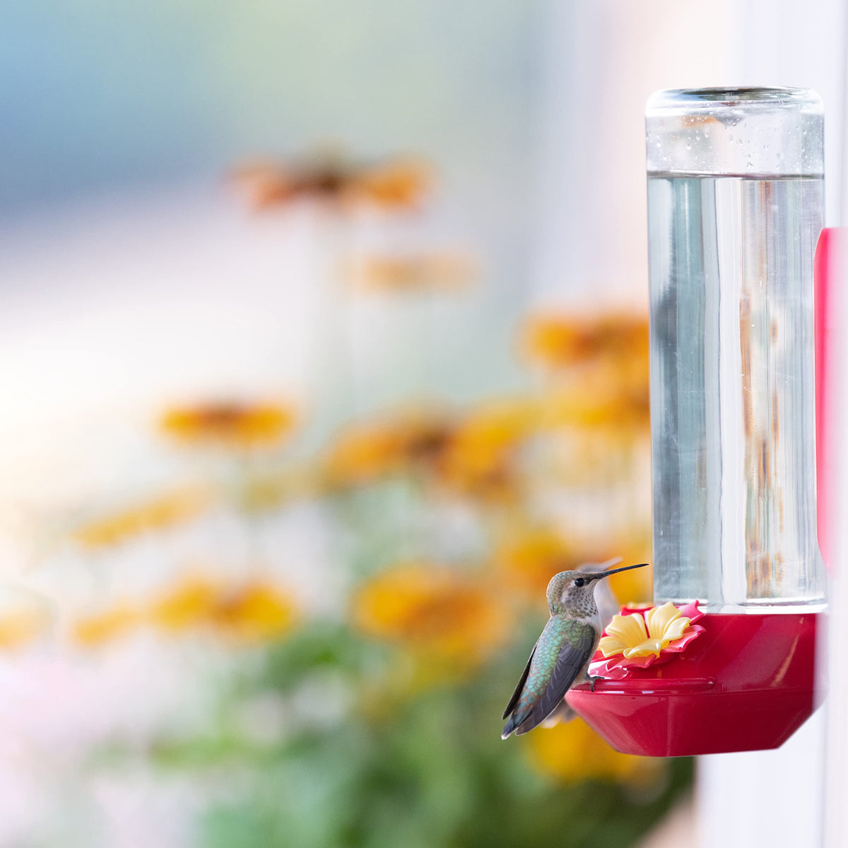Vibrant red base attracts hummingbirds from across the yard.