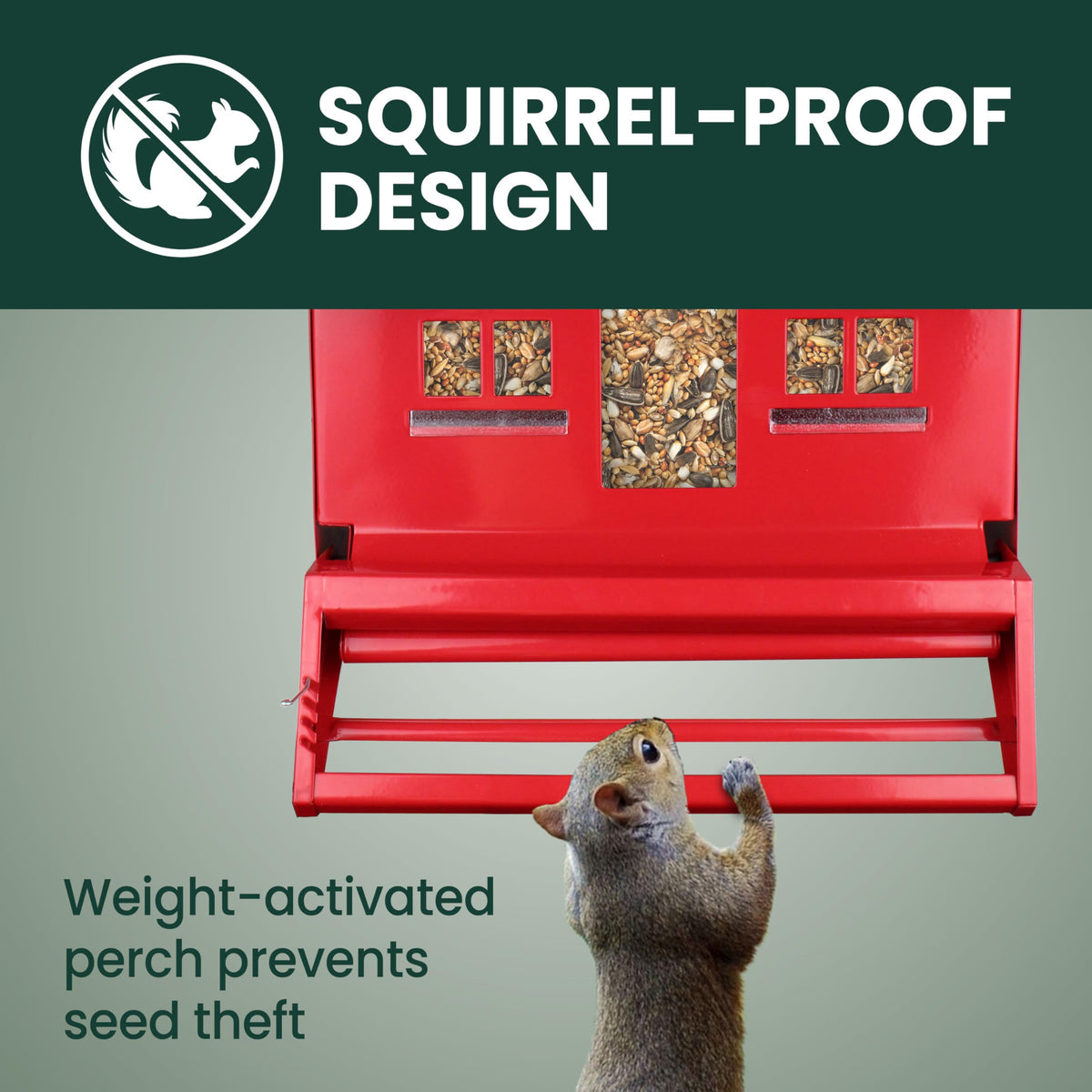 Weight-activated perch blocks squirrels while birds feed