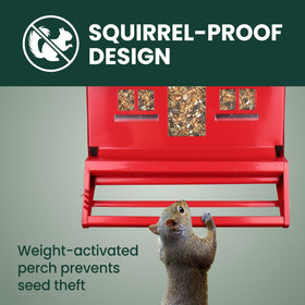 Weight-activated perch blocks squirrels while birds feed