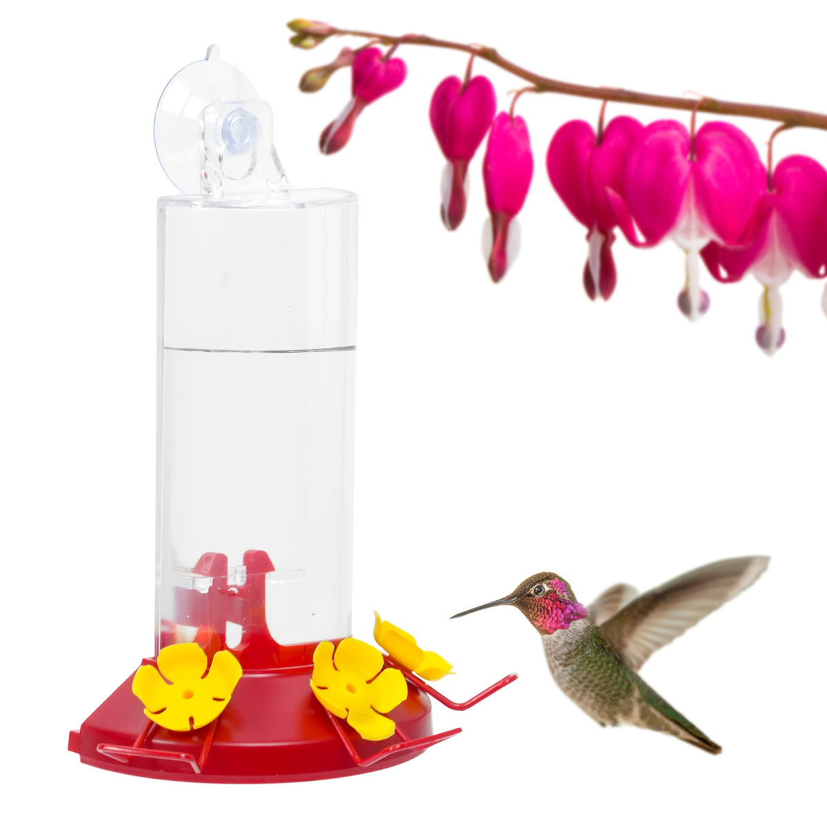 Perky-Pet window-mount feeder with clear reservoir offers up-close hummingbird viewing