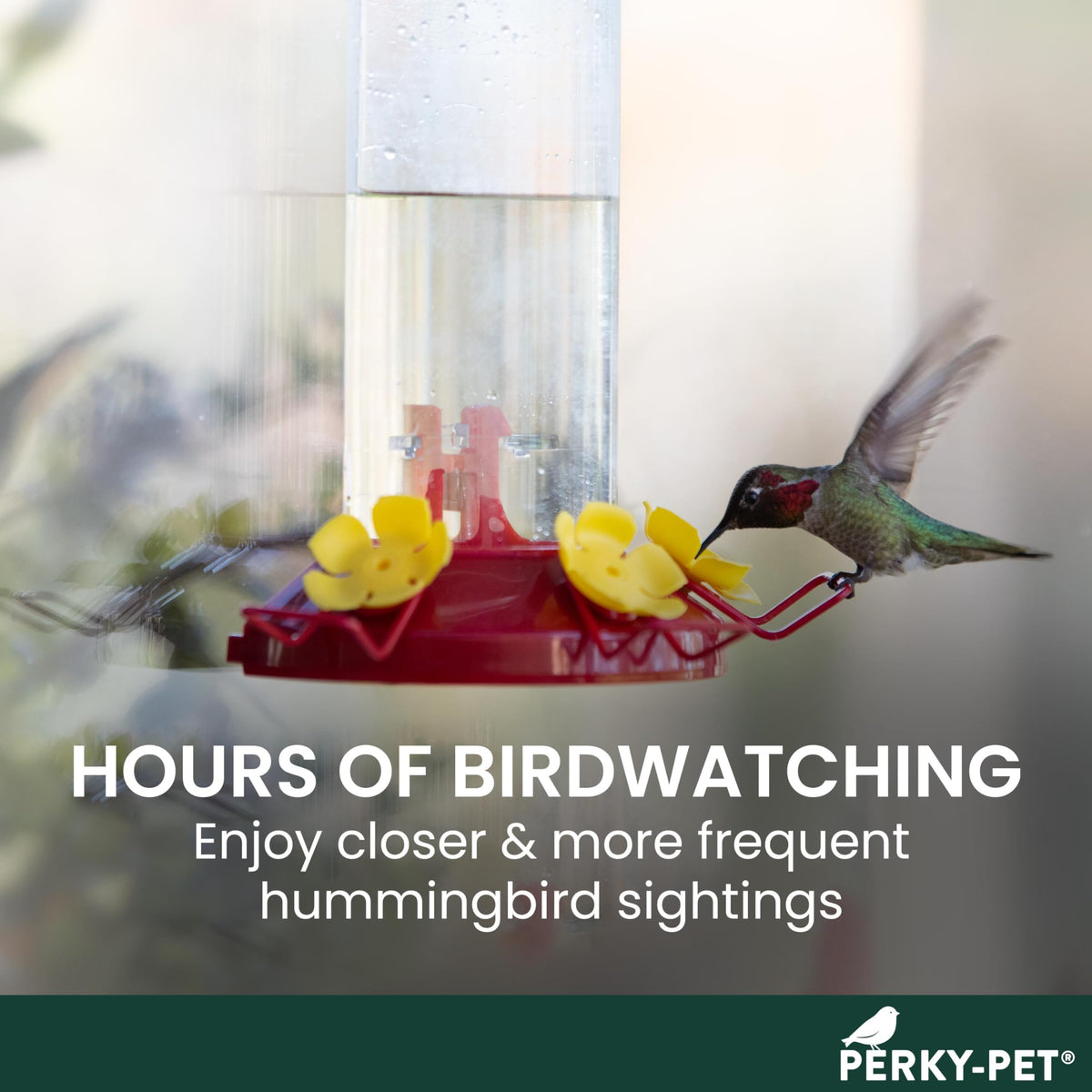 Three hollyhock ports provide natural-feeding feel for hummingbirds