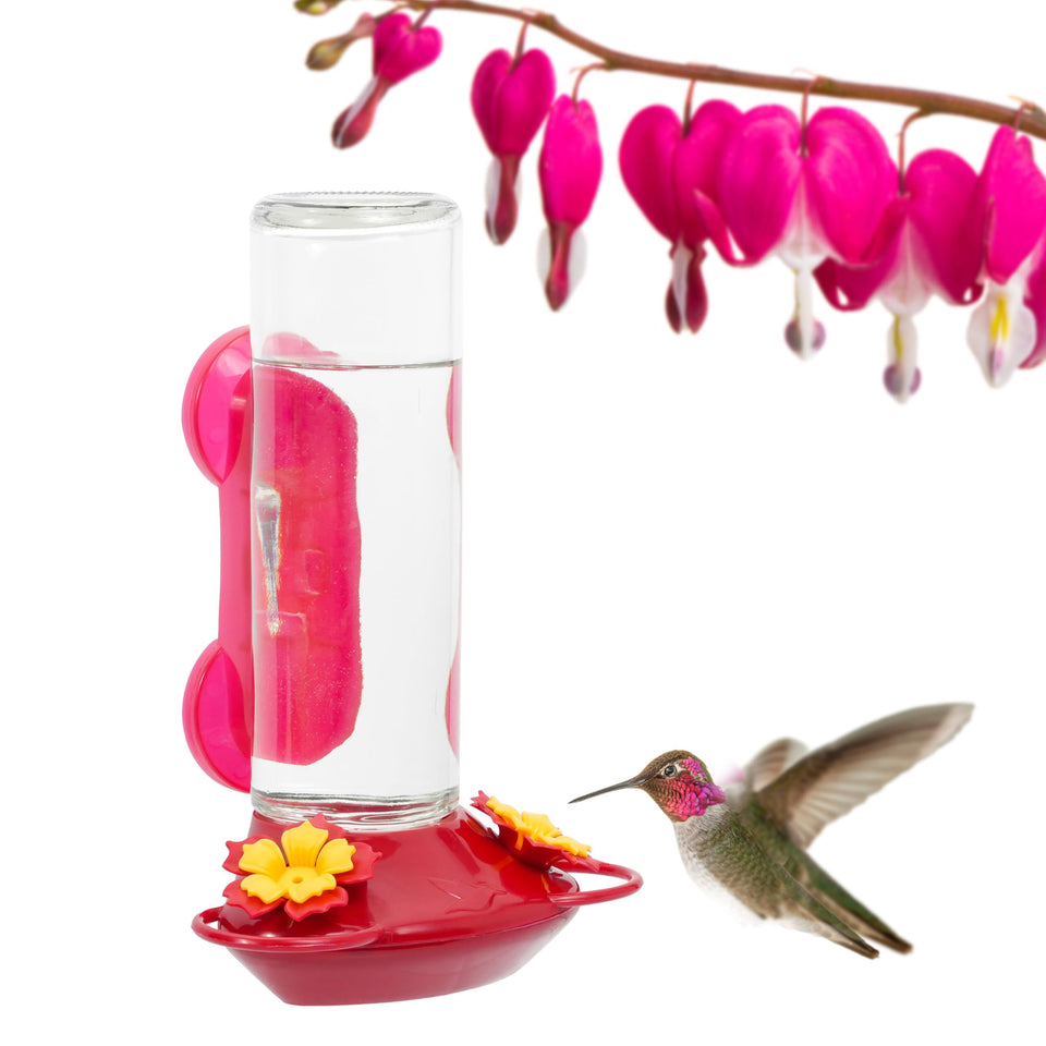Perky-Pet window-mounted glass hummingbird feeder for close-up backyard viewing indoors.