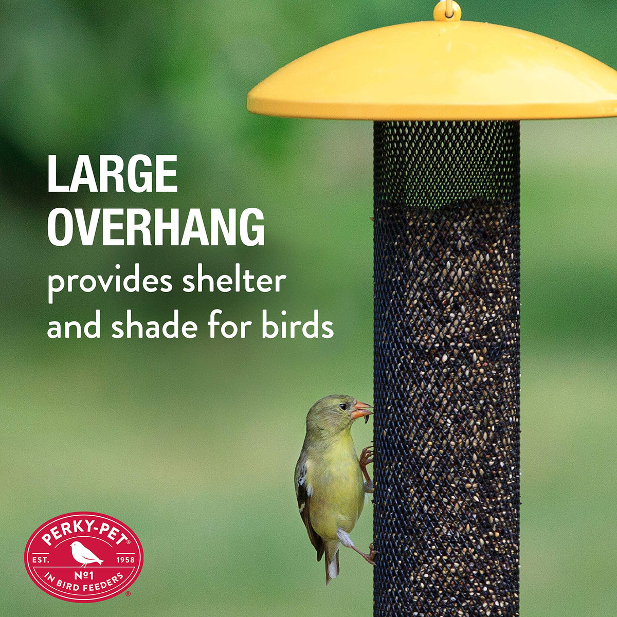 Large overhang on Perky-Pet YSSF00346-2 protects seed from weather
