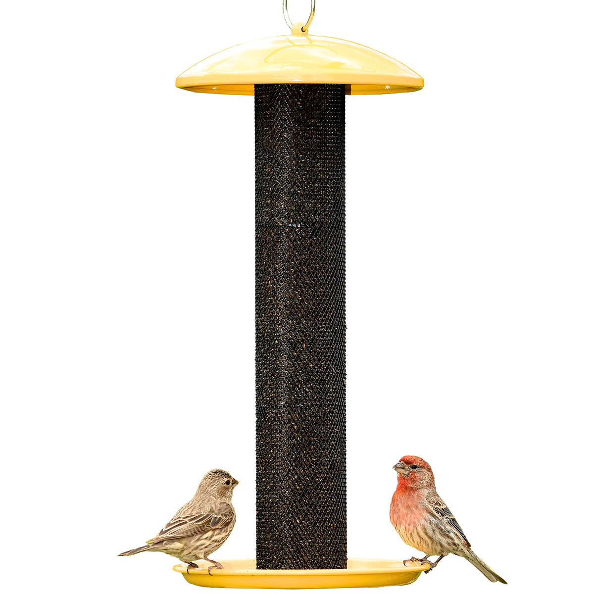 Perky-Pet YSSF00346-2 front view of straight-sided feeder ideal for multiple finches