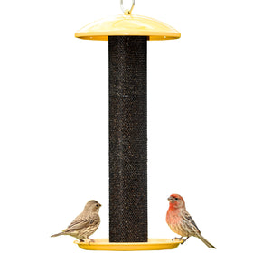 Perky-Pet YSSF00346-2 front view of straight-sided feeder ideal for multiple finches