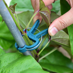 PERSZEN 60-pack bundle showing large and small clips.