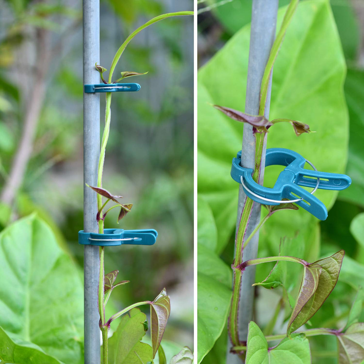 PERSZEN adjustable clip fits various stake angles.