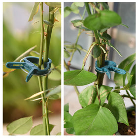 PERSZEN clips attach to stakes and trellises for neat plant training