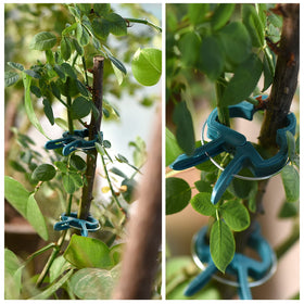 PERSZEN tomato vine clip with stake for vertical growth