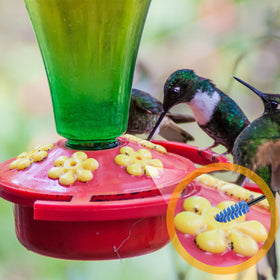 Perthlin hummingbird feeder cleaning kit compact 19-piece set for versatile maintenance