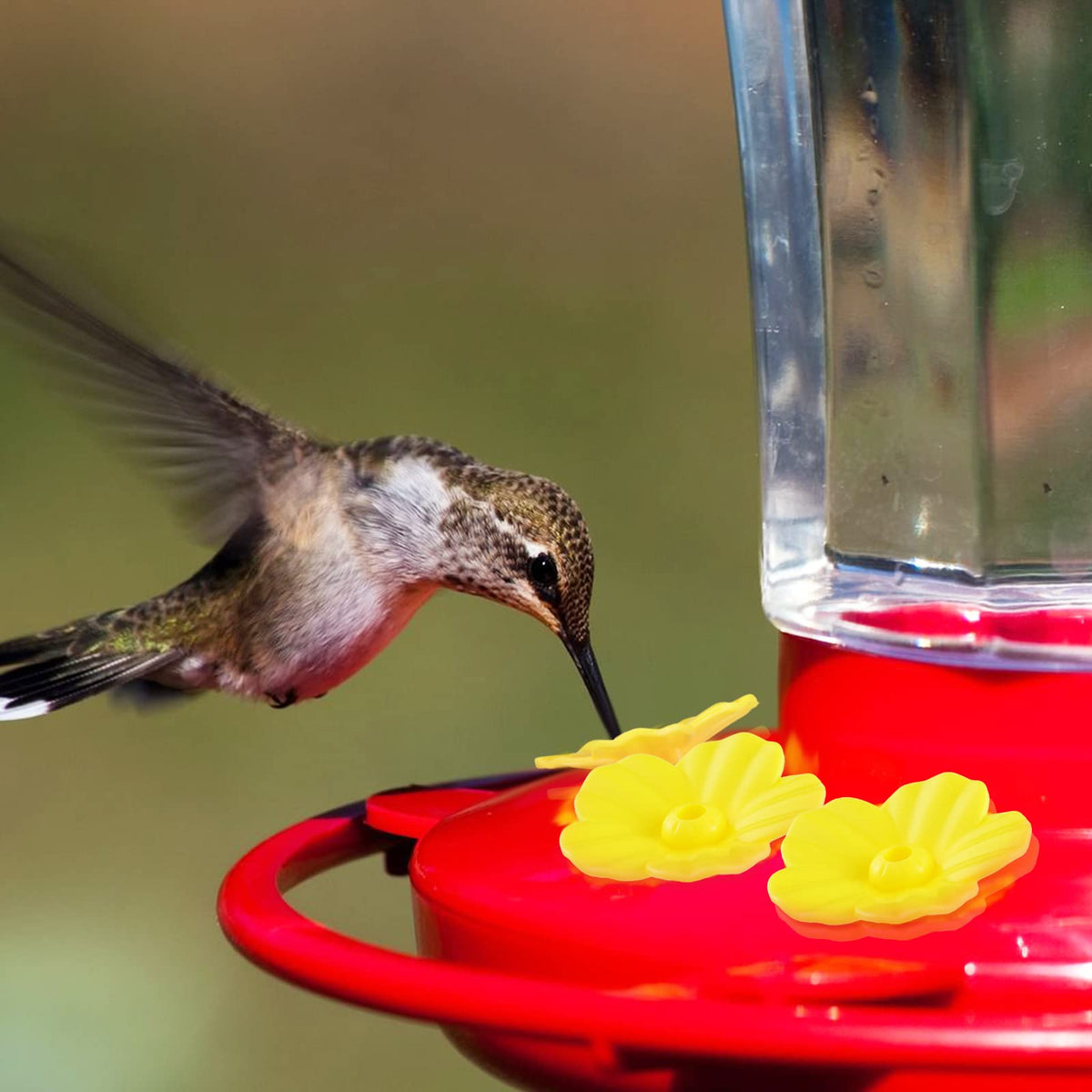 Perthlin vivid feeder flowers add color and realistic appeal to attract hummingbirds.