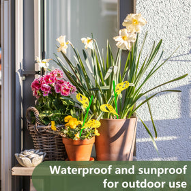 Pestcon traps outdoors help monitor pests in balcony and patio pots