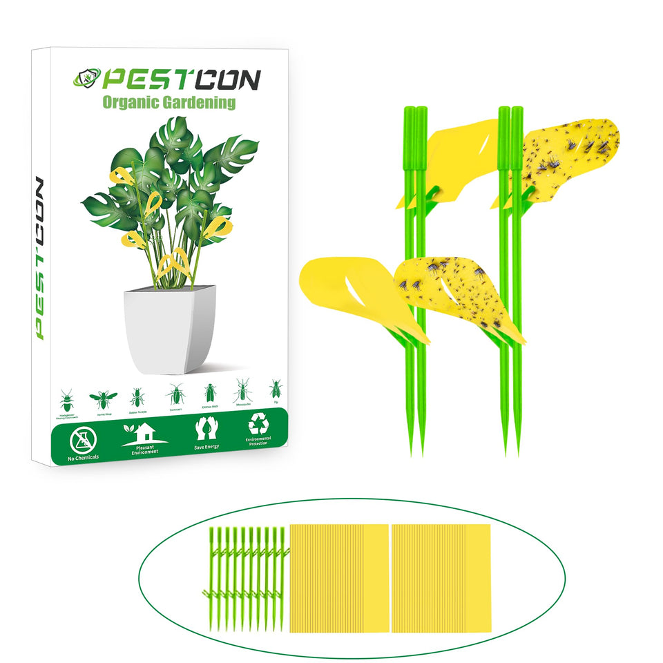 Pestcon yellow sticky traps with packaging ready for quick pest capture on houseplants