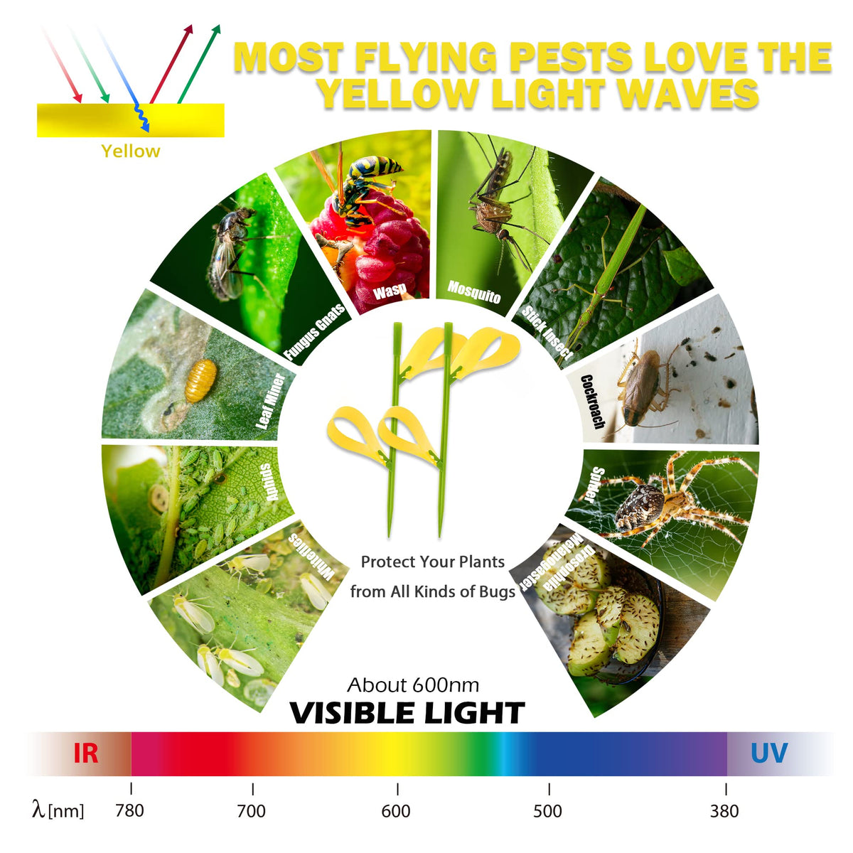 PESTCON yellow sticky traps for plant gnats attract insects and protect houseplants