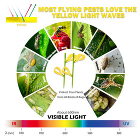 PESTCON yellow sticky traps for plant gnats attract insects and protect houseplants