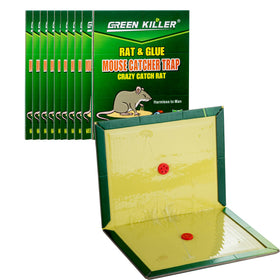 PESTUSRD 10-pack glue trap board with strong adhesive for versatile rodent control.