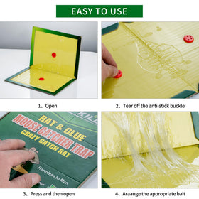 PESTUSRD easy-peel setup glue trap ready for quick placement.