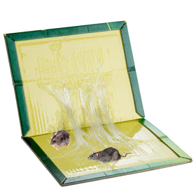 PESTUSRD indoor-outdoor rodent trap designed for flexible placement.
