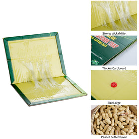 PESTUSRD safe non-toxic glue traps keep homes pet-friendly.