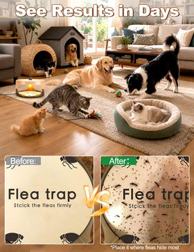 Pestvanish flea trap outlet plug in blends with decor