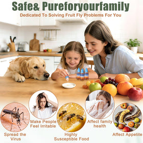 Pestvanish fruit fly trap refill pour action demonstrates simple use