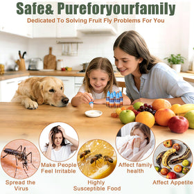 Pestvanish fruit fly trap setup indoors helps reduce flies without harsh chemicals