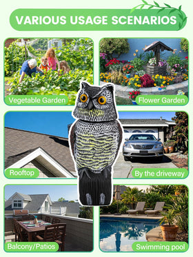 Pestvanish Owl Decoy reduces visits from squirrels to veggie beds.